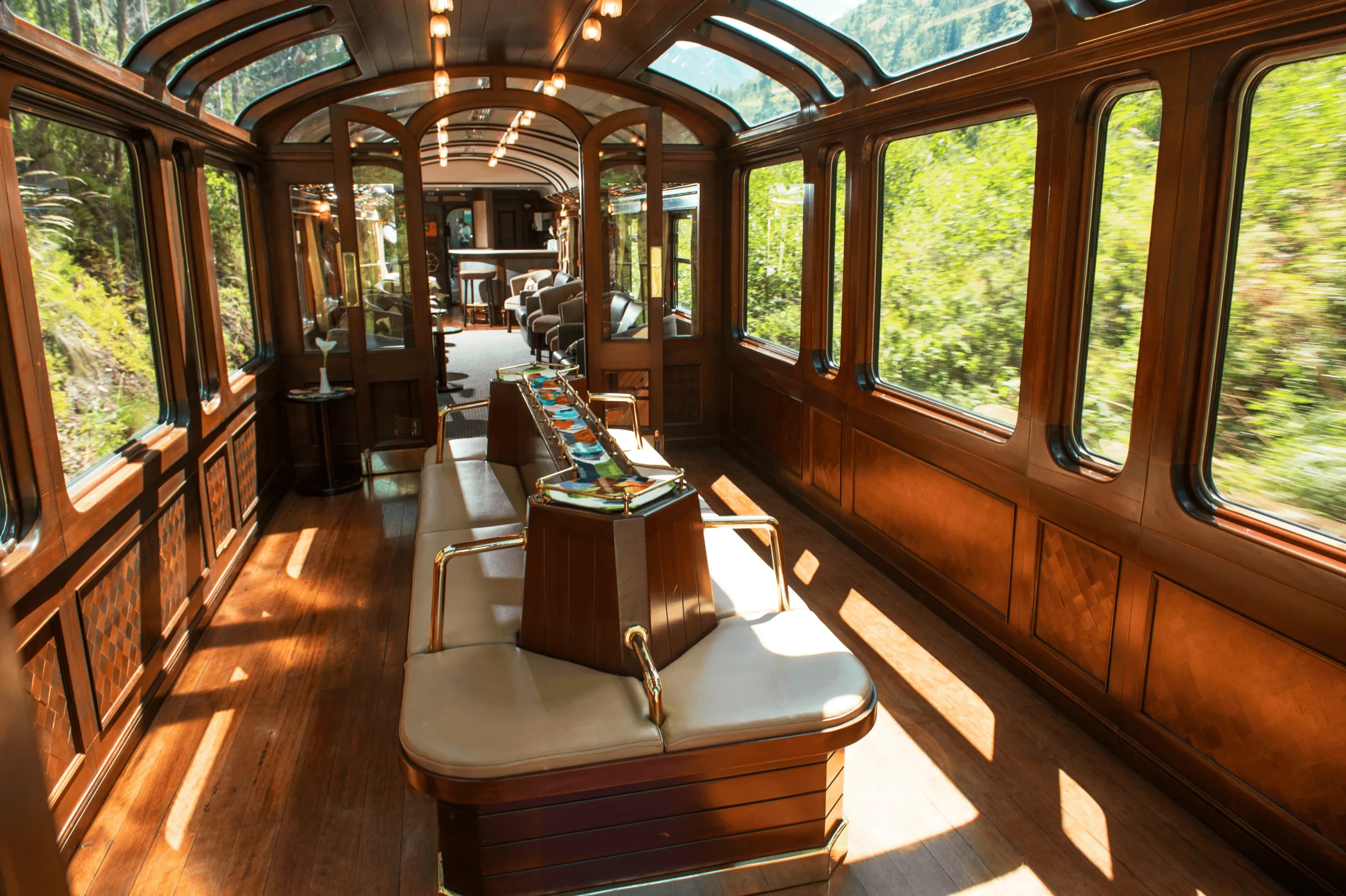 panoramic Andean landscapes from a premium train